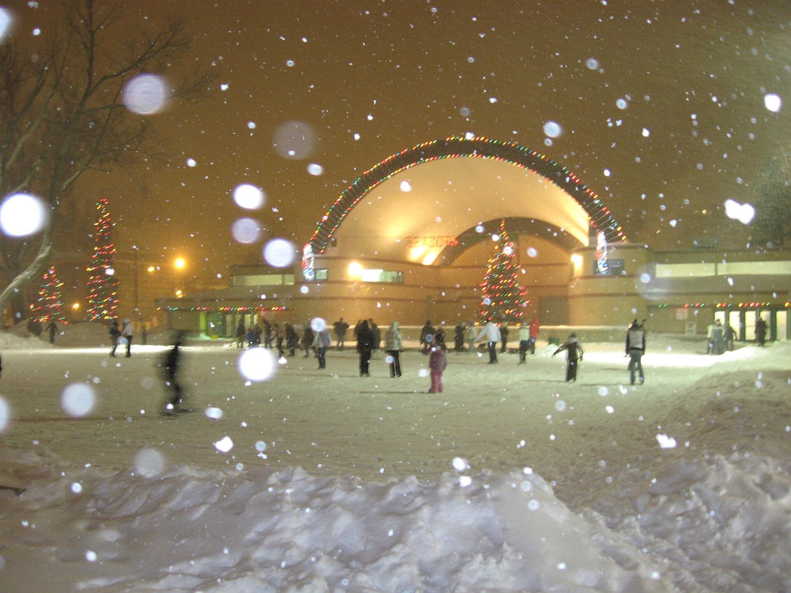 People skating at night in the snow at Victoria Park, London, Ontario, under holiday lights